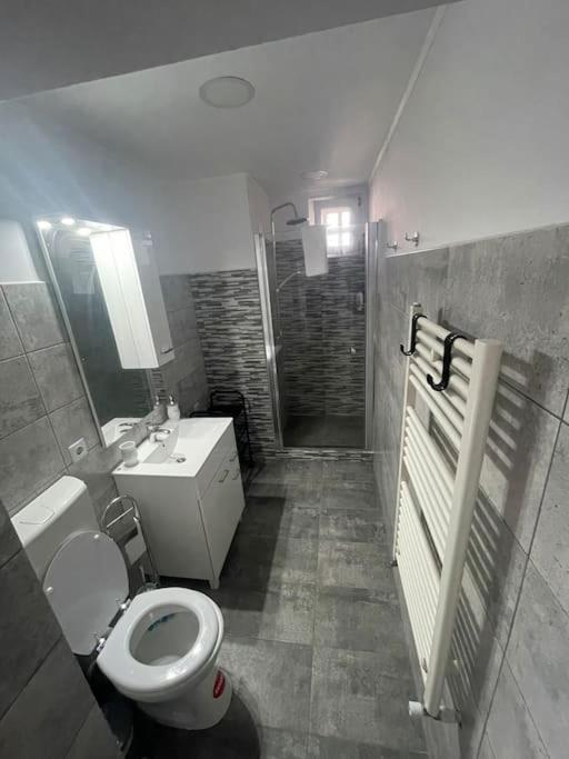 Lady M Apartment Sighişoara Exteriér fotografie